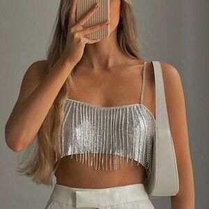 Zara Metallic Fringe Crop Top